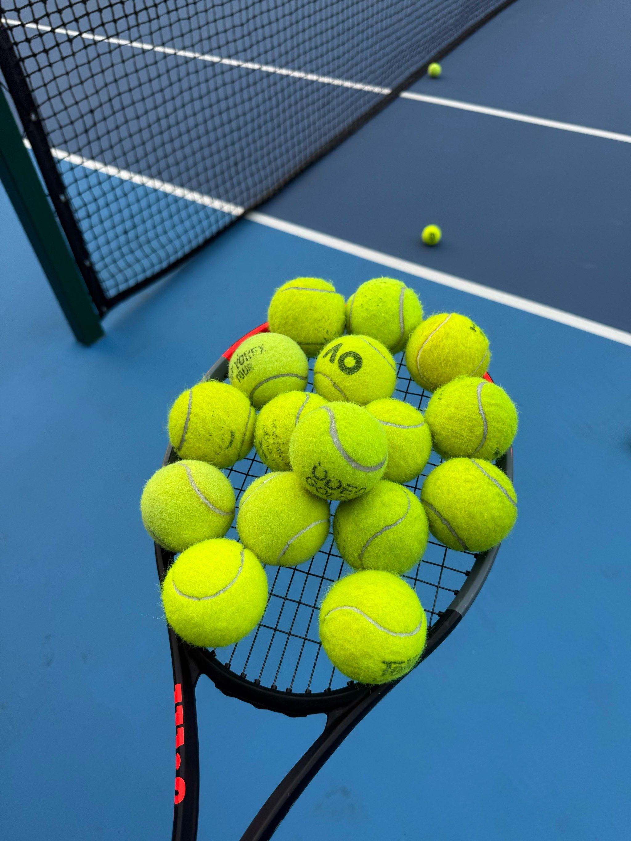 国王队凭借 国王队凭借